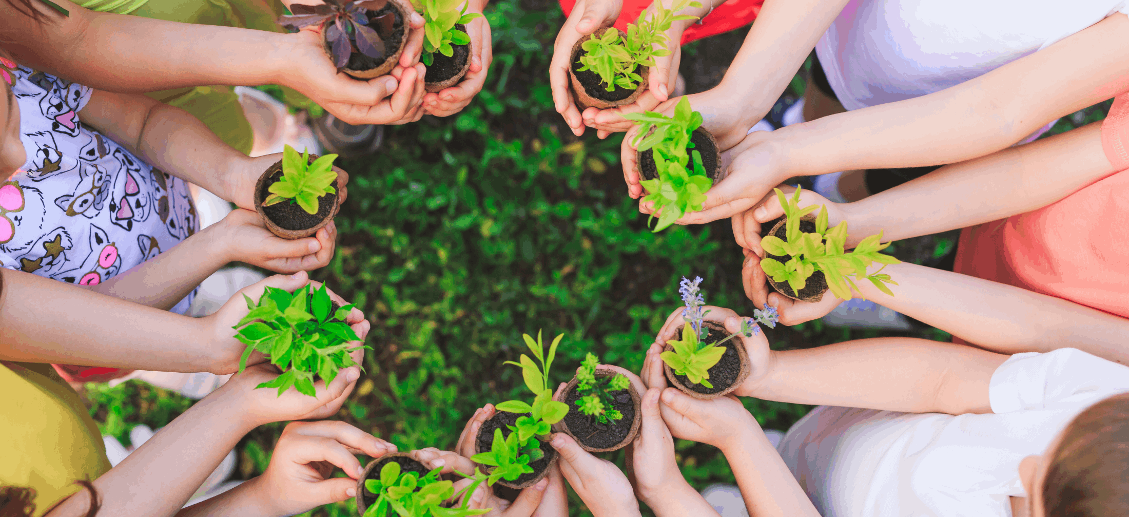 children holding sprouts