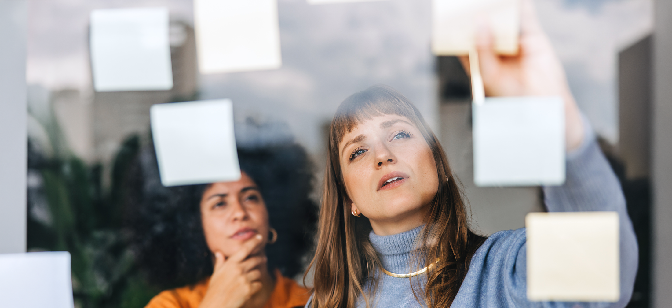 Two young teachers brainstorming using adhesive notes in an office