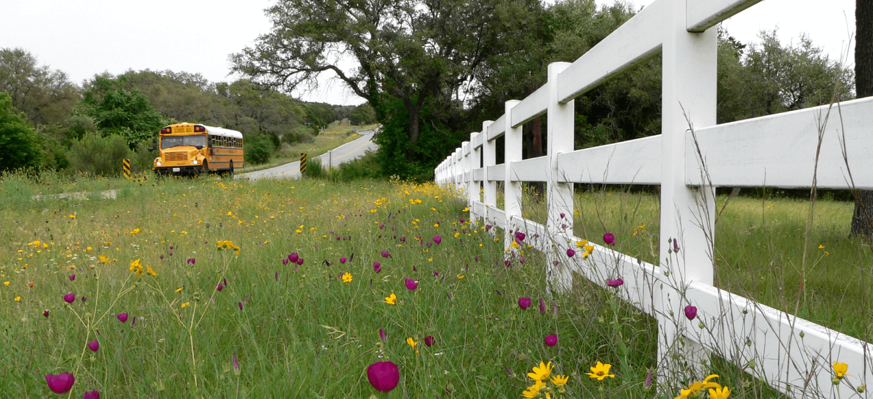 bus driving on rural road past white fence and flowers
